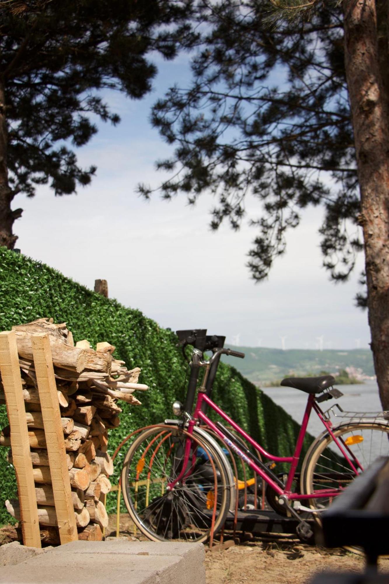 Borova Bajka Holiday home *